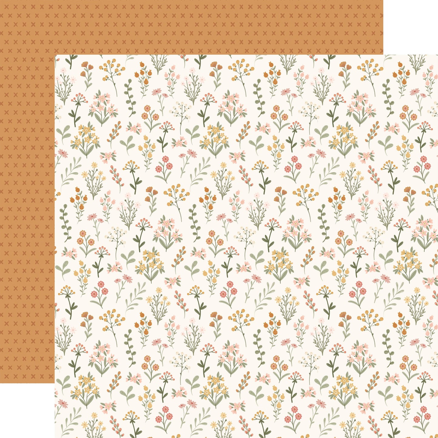 Carta Bella Silly Goose Cardstock 12"X12"- Select Style