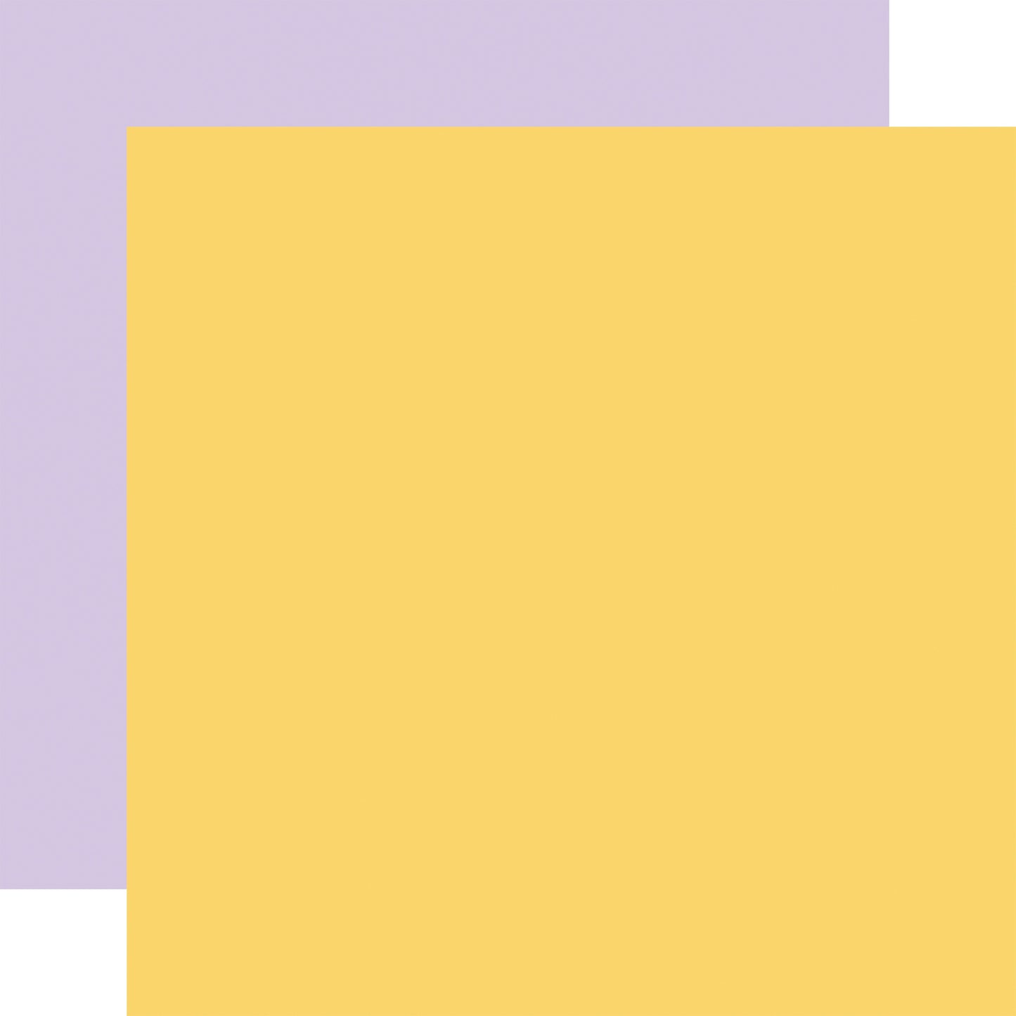 Echo Park Our Groovy Summer Cardstock 12"X12"-Select Style