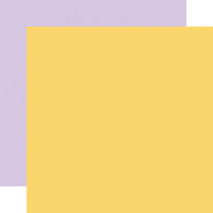 Echo Park Our Groovy Summer Cardstock 12"X12"-Select Style