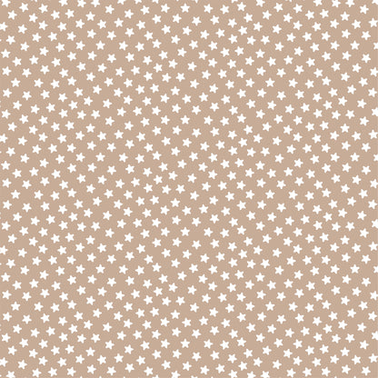 Echo Park My Favorite Monster Cardstock 12"X12"-Select Style