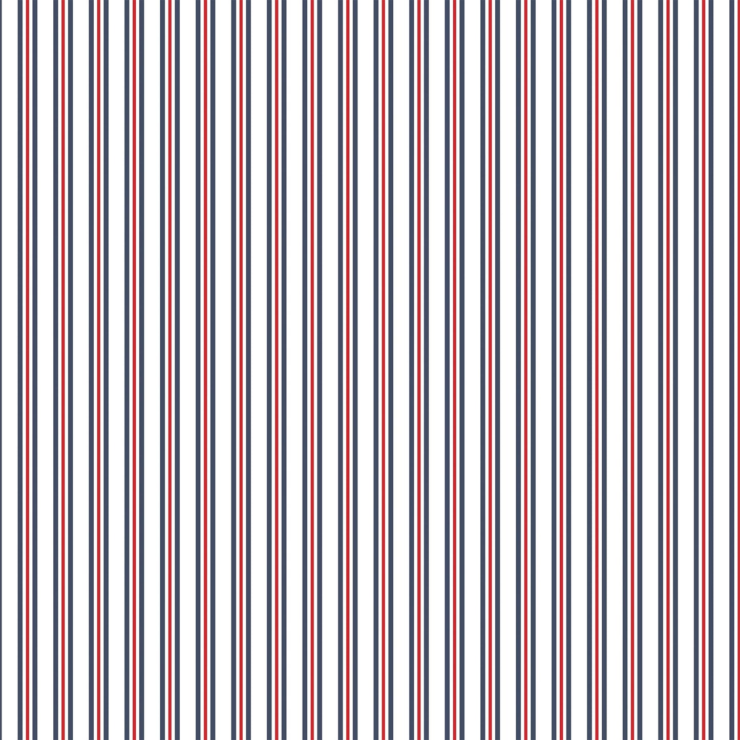 Echo Park All American Cardstock 12"X12"- Select Style