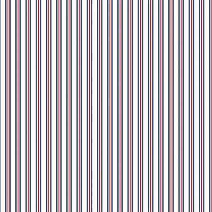 Echo Park All American Cardstock 12"X12"- Select Style