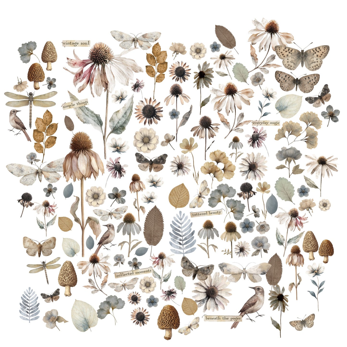 49 and Market Laser Cut Outs-Wildflowers, Faded Memory Lane