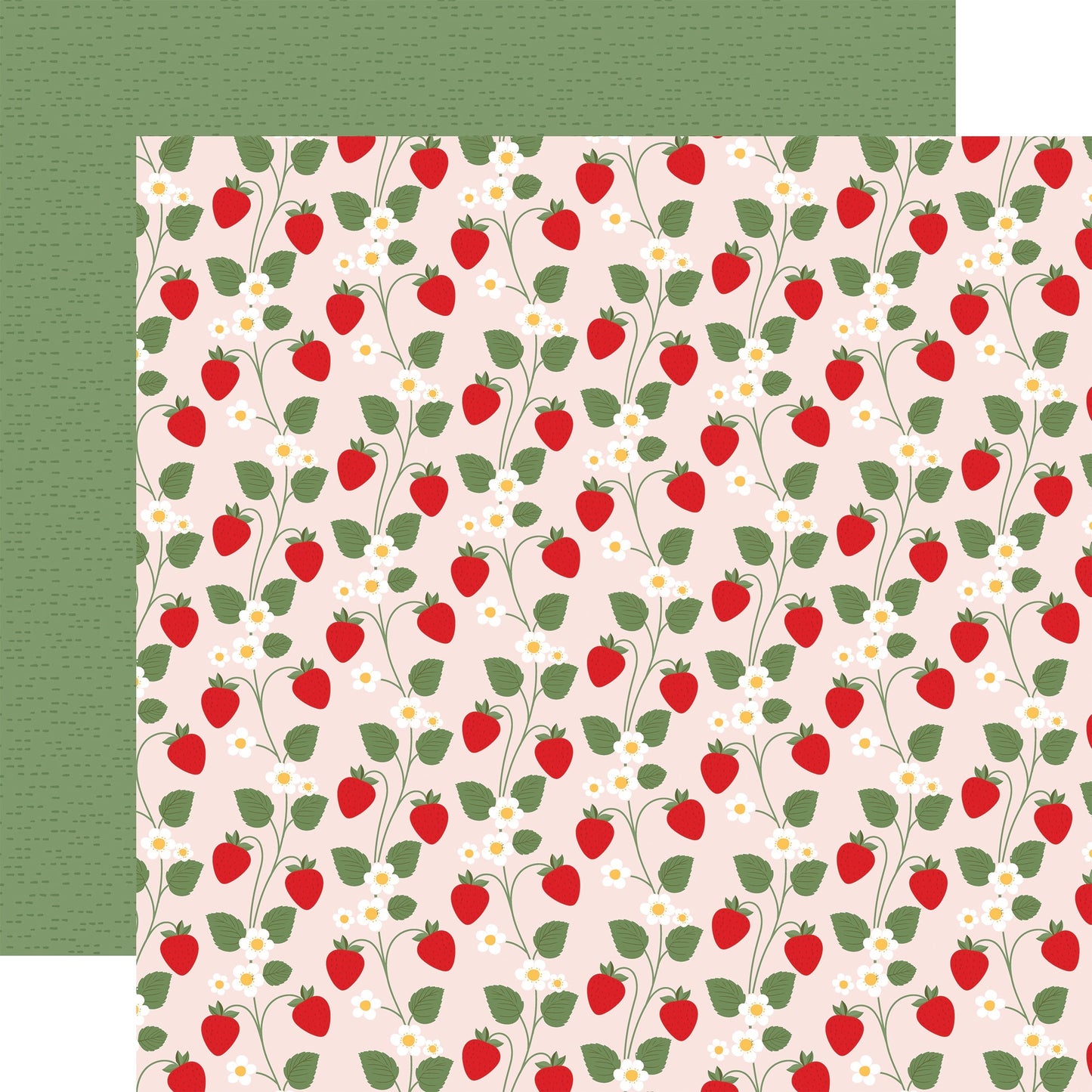 Echo Park Strawberry Fields Cardstock 12"X12"-Select Style