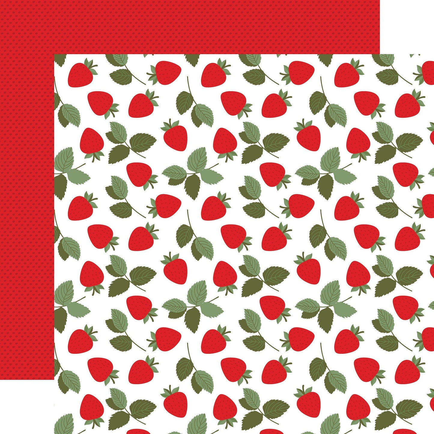 Echo Park Strawberry Fields Cardstock 12"X12"-Select Style