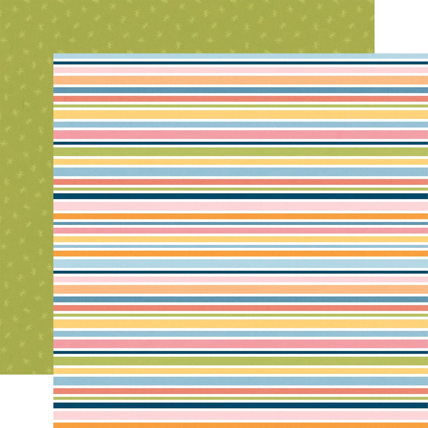 Echo Park Cat Lover Cardstock 12"X12"-Select Style