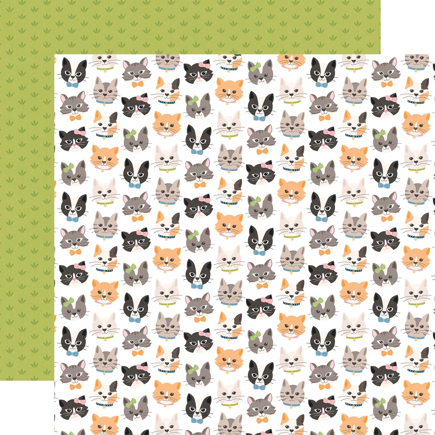 Echo Park Cat Lover Cardstock 12"X12"-Select Style