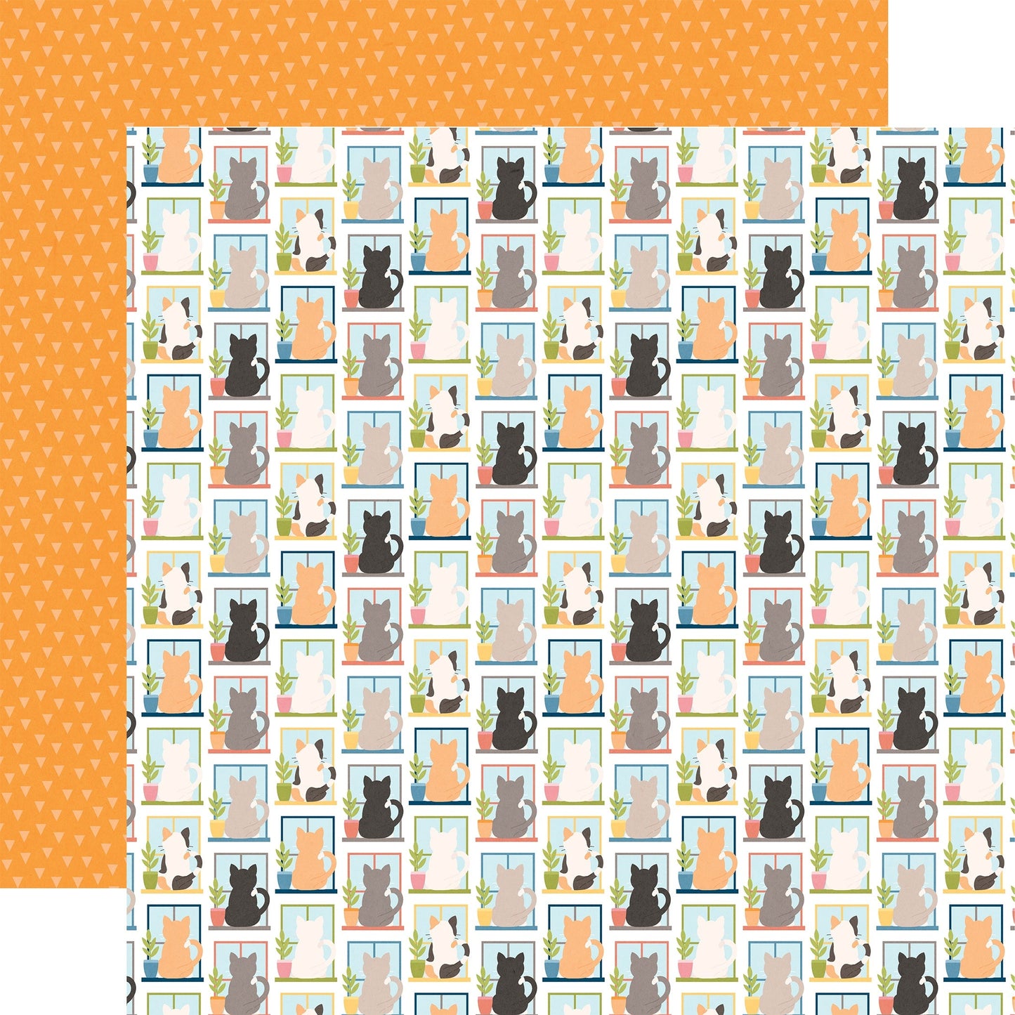 Echo Park Cat Lover Cardstock 12"X12"-Select Style