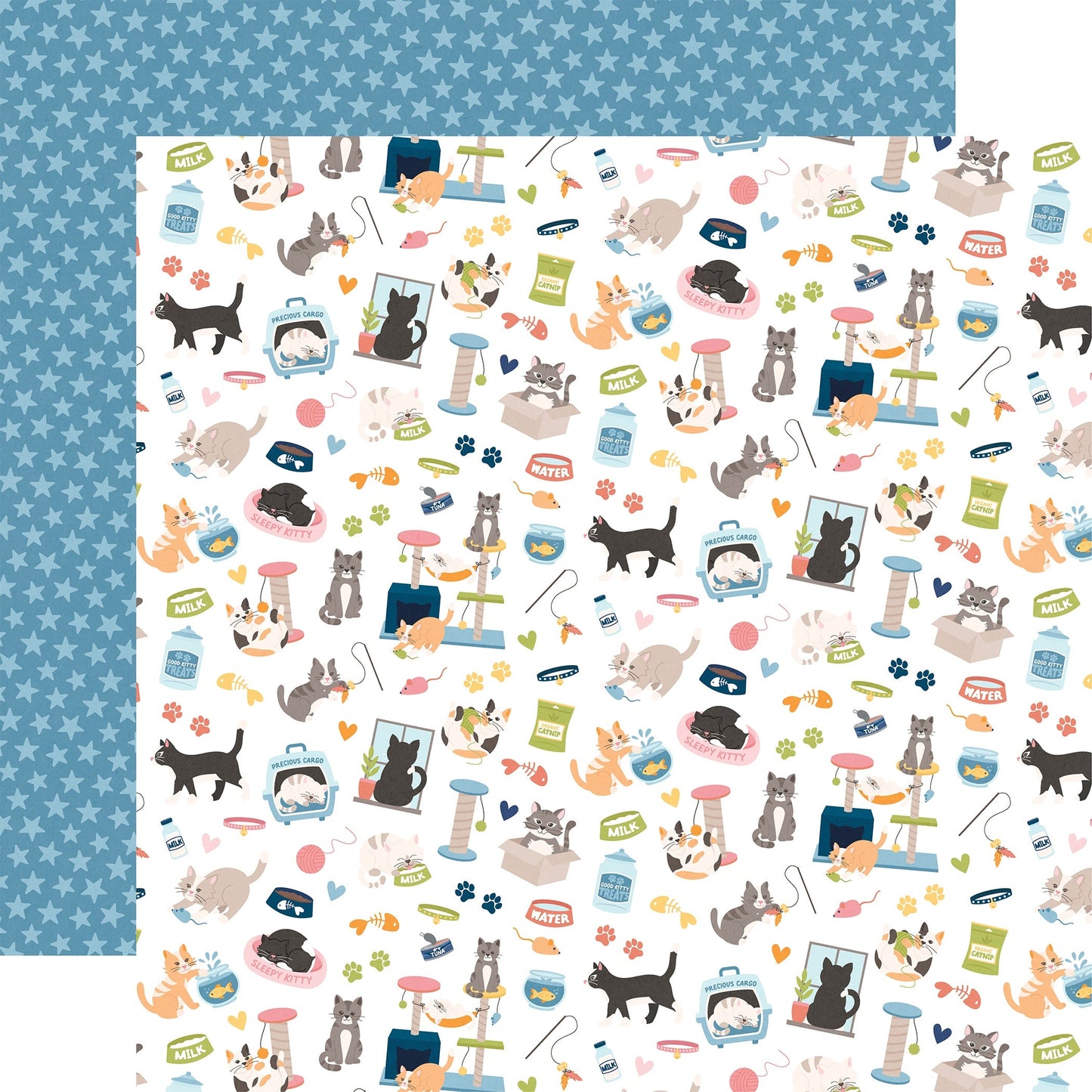 Echo Park Cat Lover Cardstock 12"X12"-Select Style