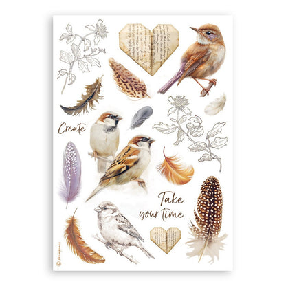 Stamperia A5 Washi Pad 8/Pkg-All Around
