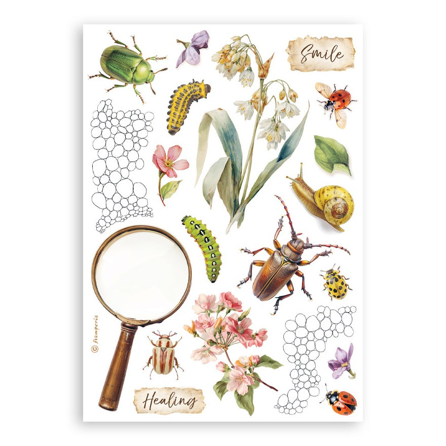 Stamperia A5 Washi Pad 8/Pkg-All Around