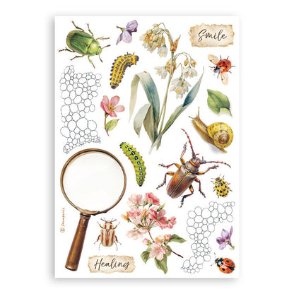 Stamperia A5 Washi Pad 8/Pkg-All Around