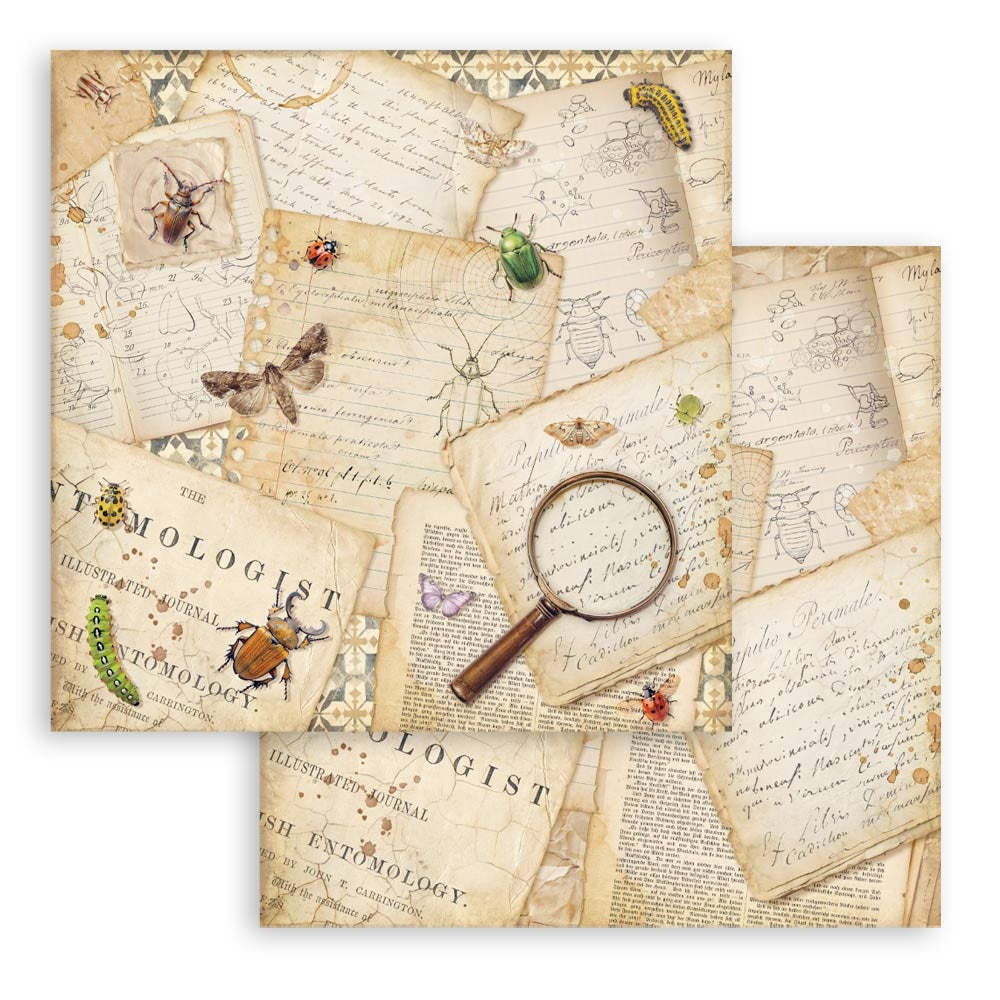 Stamperia Scrapbooking Double-Sided Paper Pad 8"X8" 10/Pkg-All Around