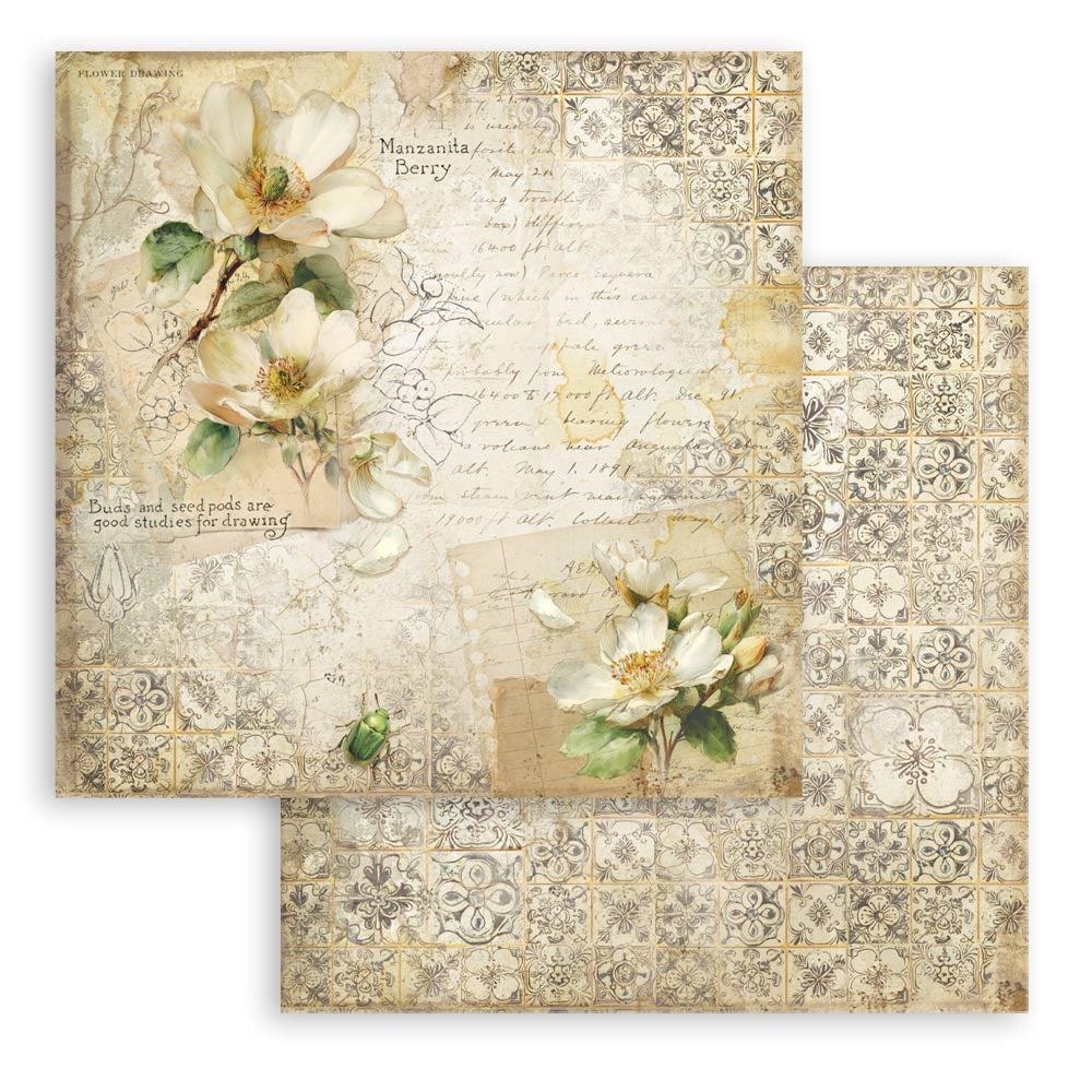Stamperia Scrapbooking Double-Sided Paper Pad 12"x12" 10/Pkg-All Around