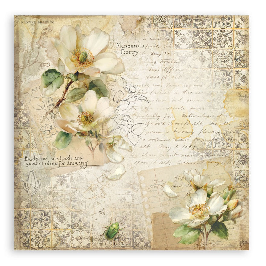 Stamperia Single-Sided Paper Pad 8"X8" 22/Pkg-All Around