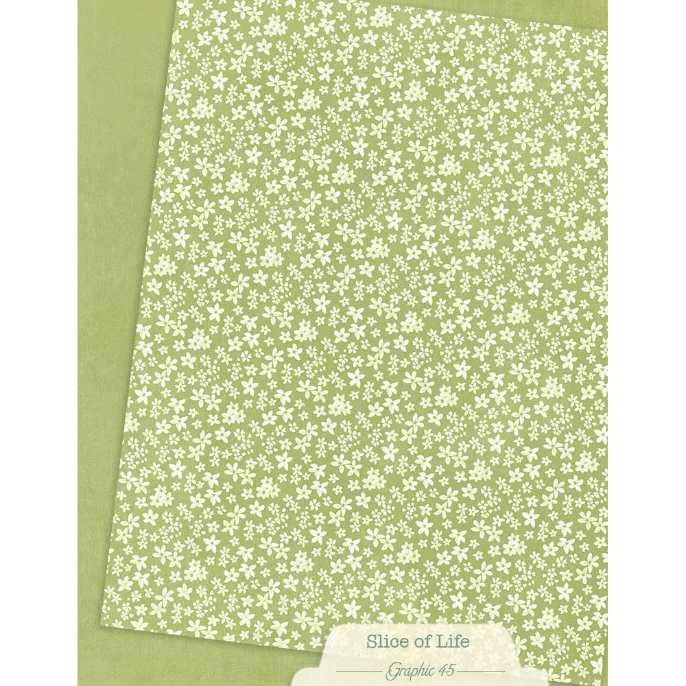 Graphic 45 Patterns & Solids Collection Pack 8.5"X11"-Slice of Life