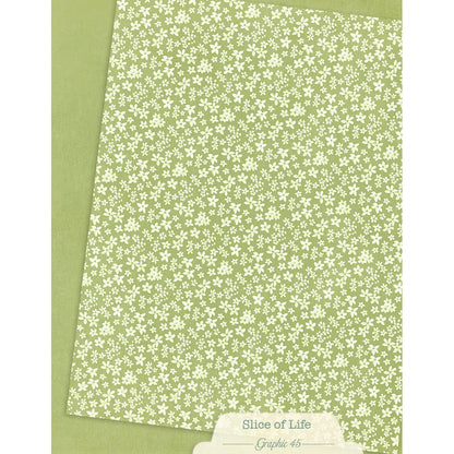Graphic 45 Patterns & Solids Collection Pack 8.5"X11"-Slice of Life