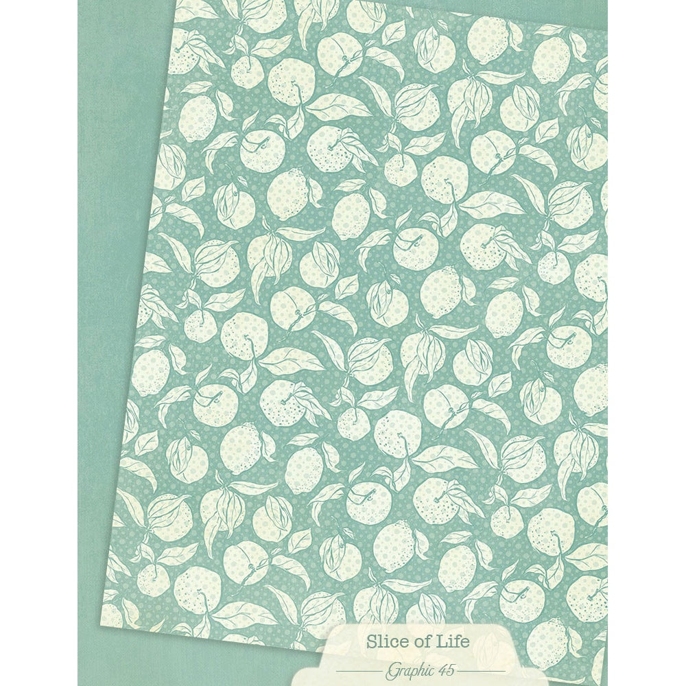 Graphic 45 Patterns & Solids Collection Pack 8.5"X11"-Slice of Life