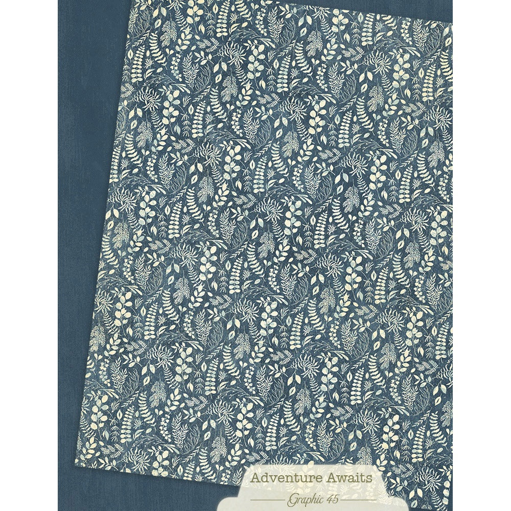 Graphic 45 Patterns & Solids Collection Pack 8.5"X11"-Adventure Awaits