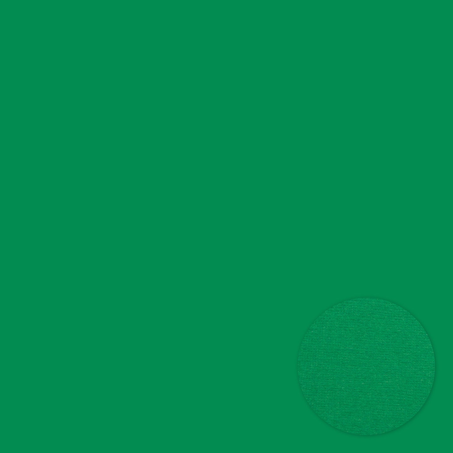 Adhesive 12 x 12 Cardstock - Green
