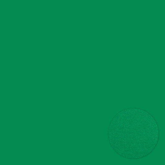 Adhesive 12 x 12 Cardstock - Green