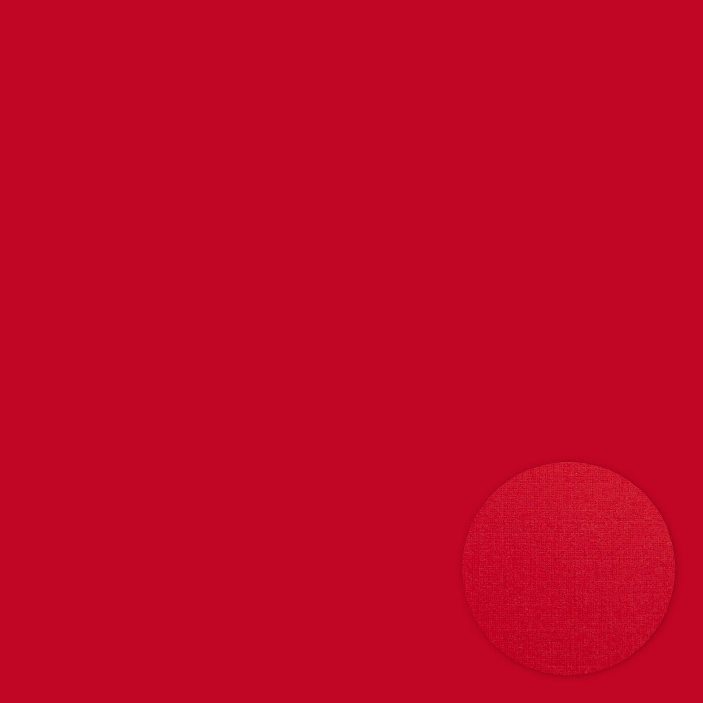 Bazzill Cardinal 12 x 12 Cardstock (Pack of 25 sheets)