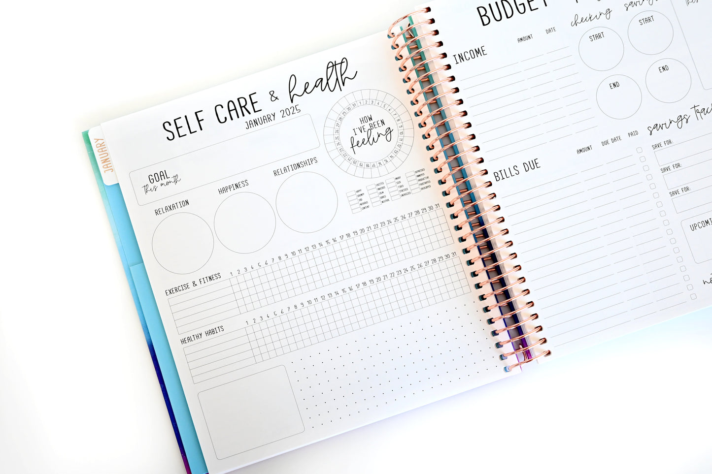 2025 Planner - Signature Layout, Spiral Bound - "Teal Strokes" (#202)