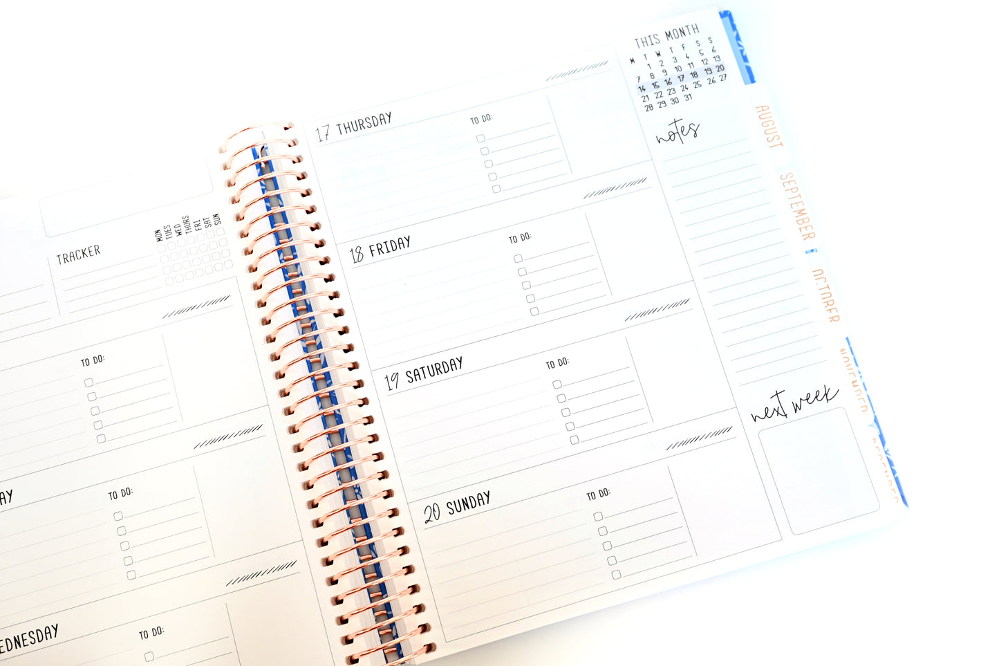 2025 Planner - Horizontal Layout, Spiral Bound - "Golden Leaves" (#107)