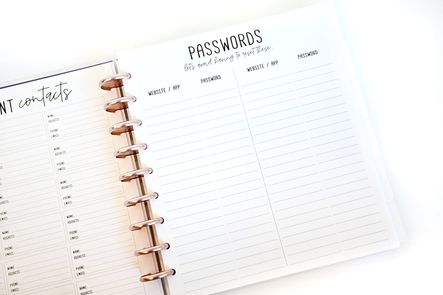 2025 Planner - Mini Horizontal Layout, Disc Bound - "Golden Leaves" (#1007)