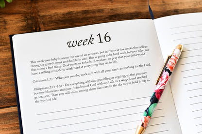 Dear Baby: Pregnancy Prayer Journal