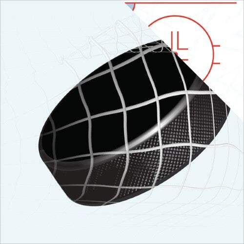 Echo Park Hockey Puck Paper - Hockey - 12 x 12 Cardstock Sheet