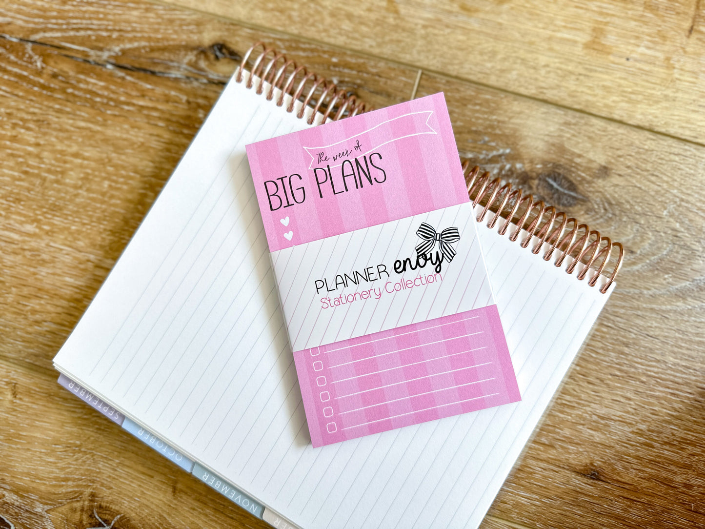 Big Plans Pink Stripe Notepad - 4x6 Inches (*Notepad Only*)