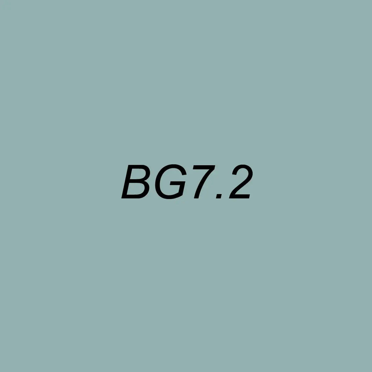 OLO Brush BG7.2 Silver Jade