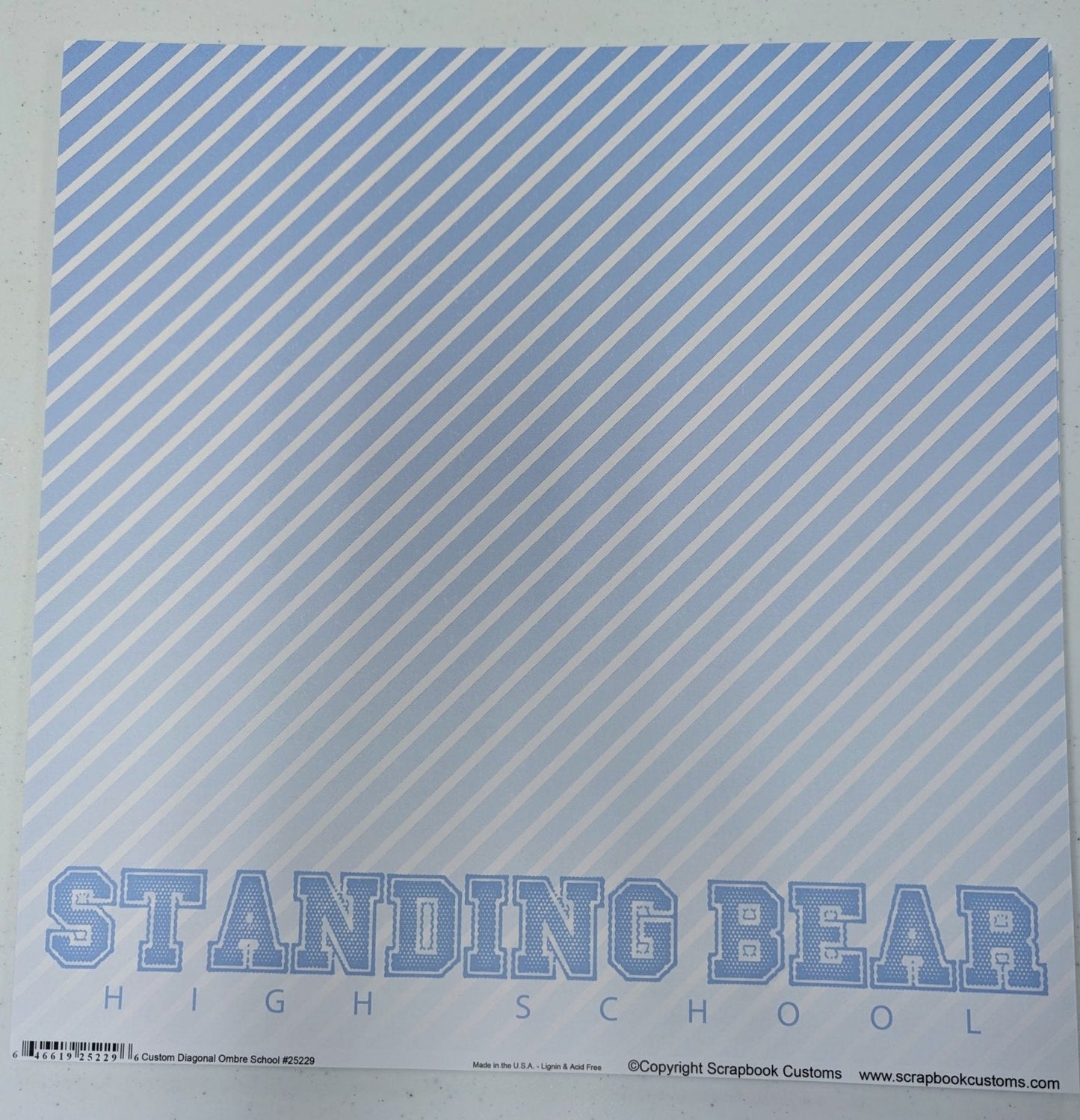 SC 25229 Custom School Paper 12 x 12 - Select School