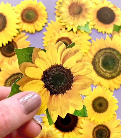 Paper House Die Cut Sticker Pack - Sunflower