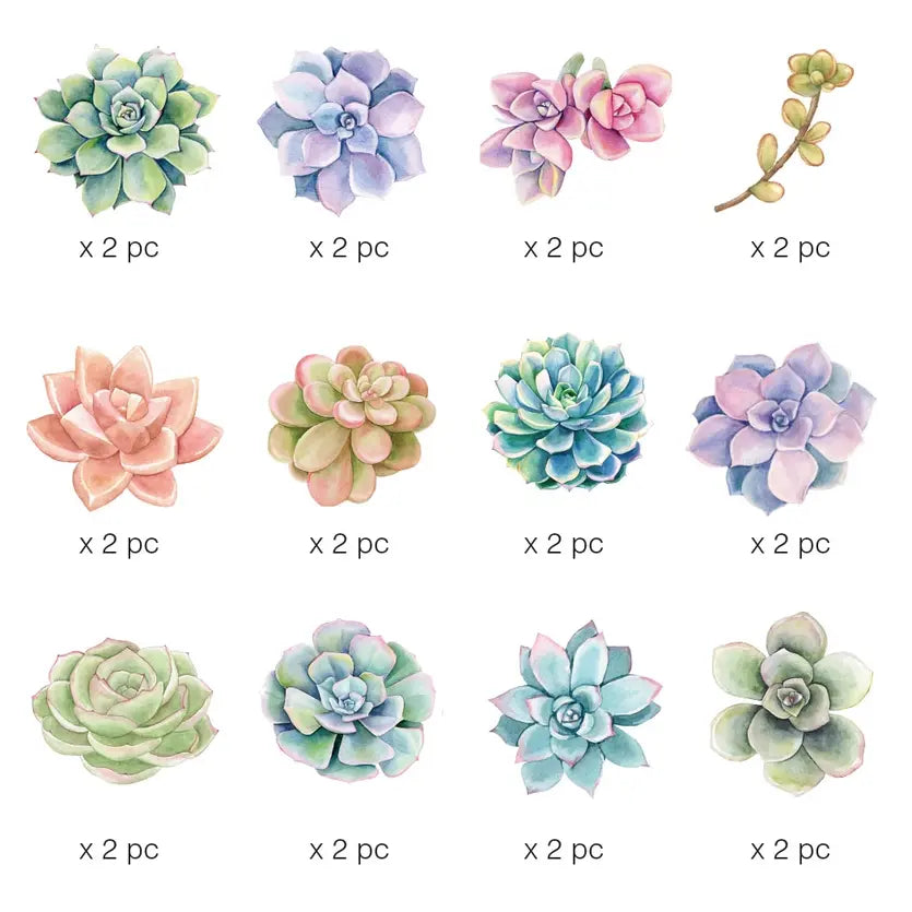 Paper House Scrapbook Stickers - Succulents Diecut Sticker Pack
