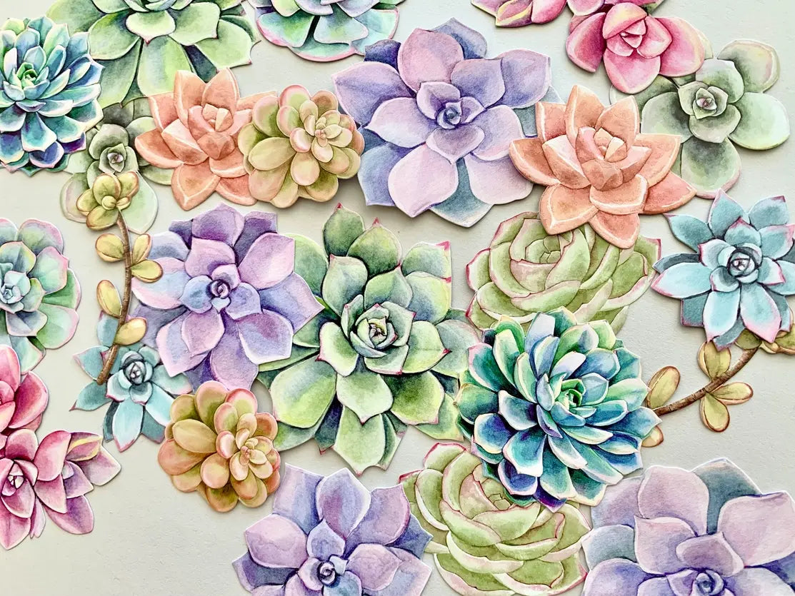 Paper House Scrapbook Stickers - Succulents Diecut Sticker Pack