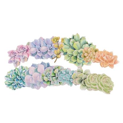 Paper House Scrapbook Stickers - Succulents Diecut Sticker Pack