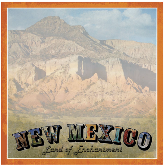 New Mexico Vintage Paper 12 x 12