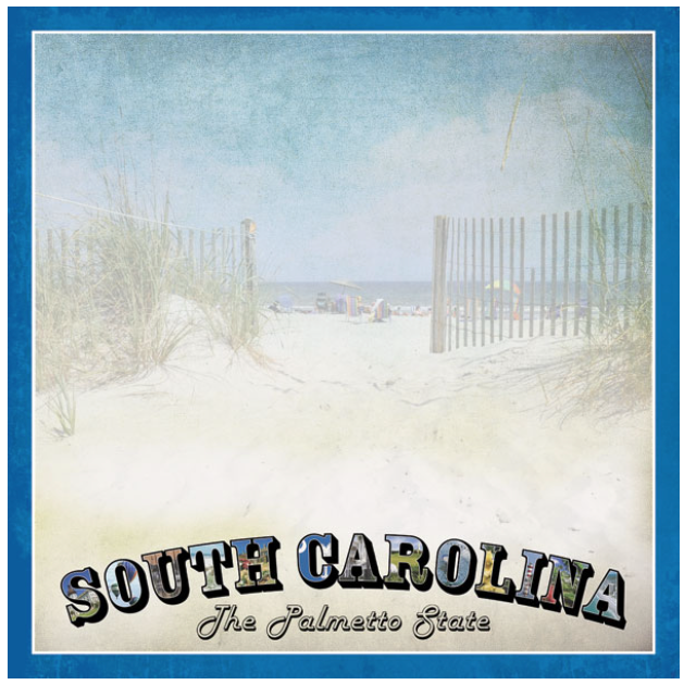 South Carolina Vintage Paper 12 x 12