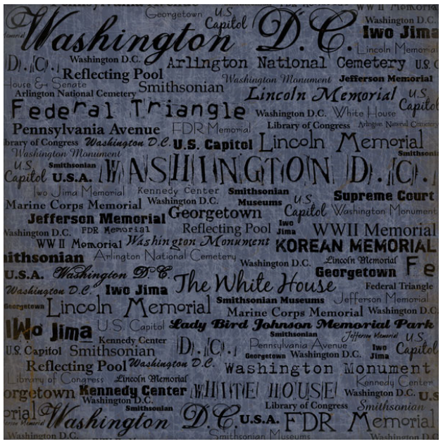 Washington DC Words Paper 12 x 12