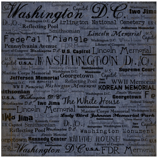 Washington DC Words Paper 12 x 12