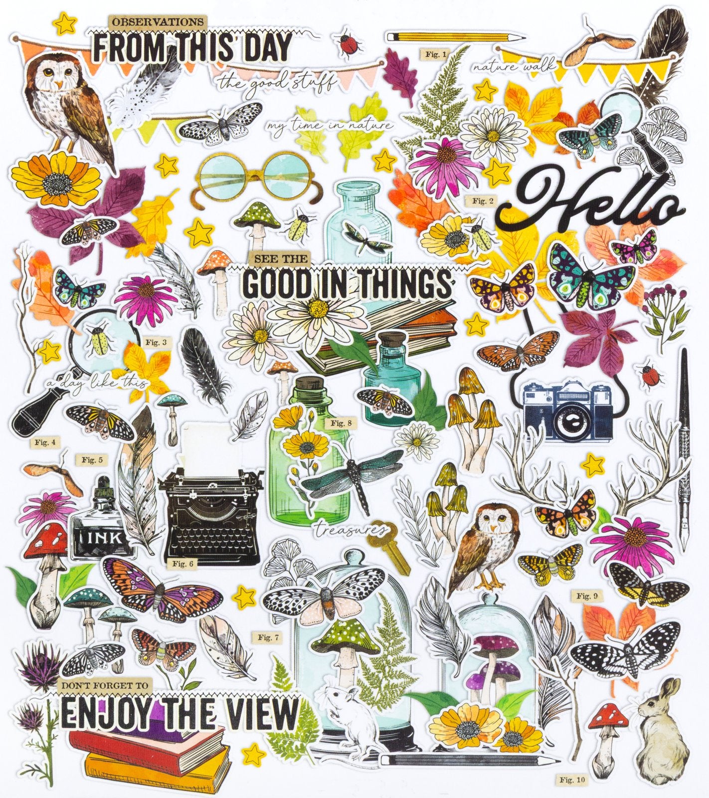Curiosities In Willow Grove Ephemera Set-Icons And Titles