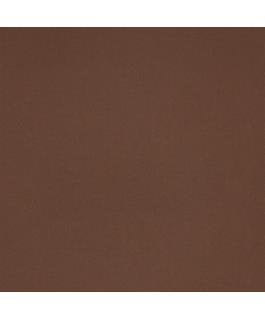 PA Paper Accents Cardstock 12 x 12 80 lb Brown Eyes