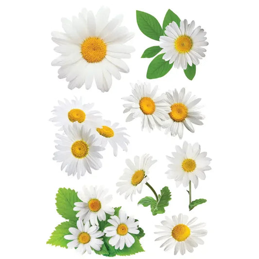 Oxeye Daisy Dimensional Stickers