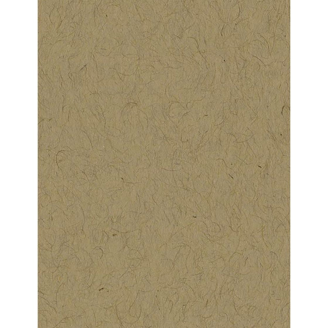 Bazzill Classic Cardstock 8.5"X11"- Select Style