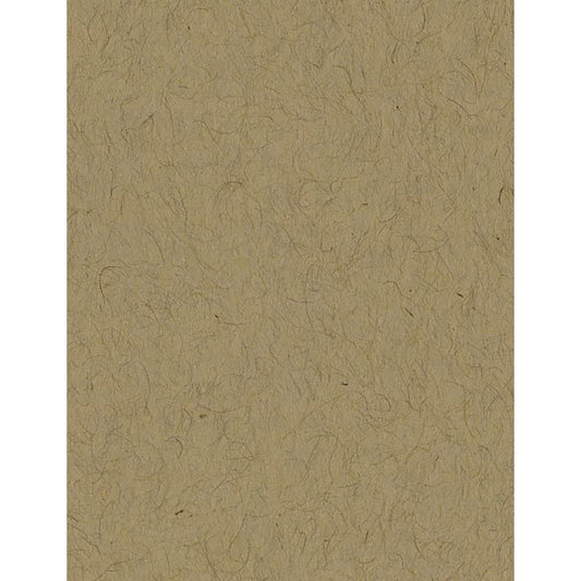 Bazzill Classic Cardstock 8.5"X11"- Select Style
